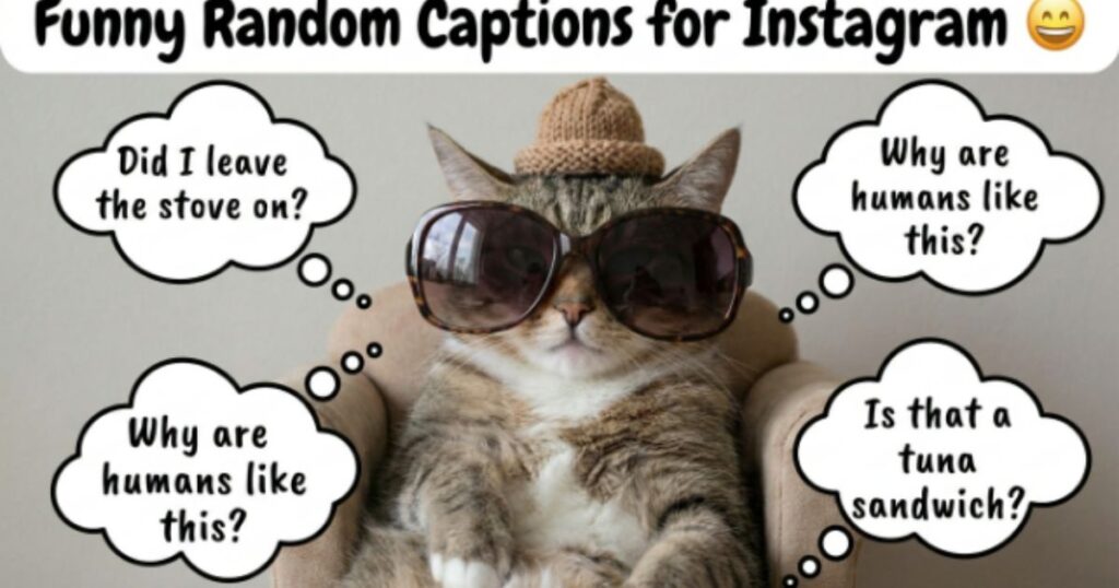 Funny Random Captions for Instagram